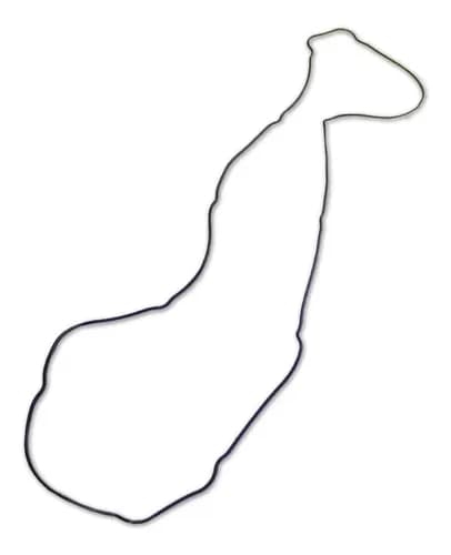 JUNTA COLETOR ADMISSAO FMX/FM/B340R/B380/B420R/B450R - MOTOR D1 - 20850506