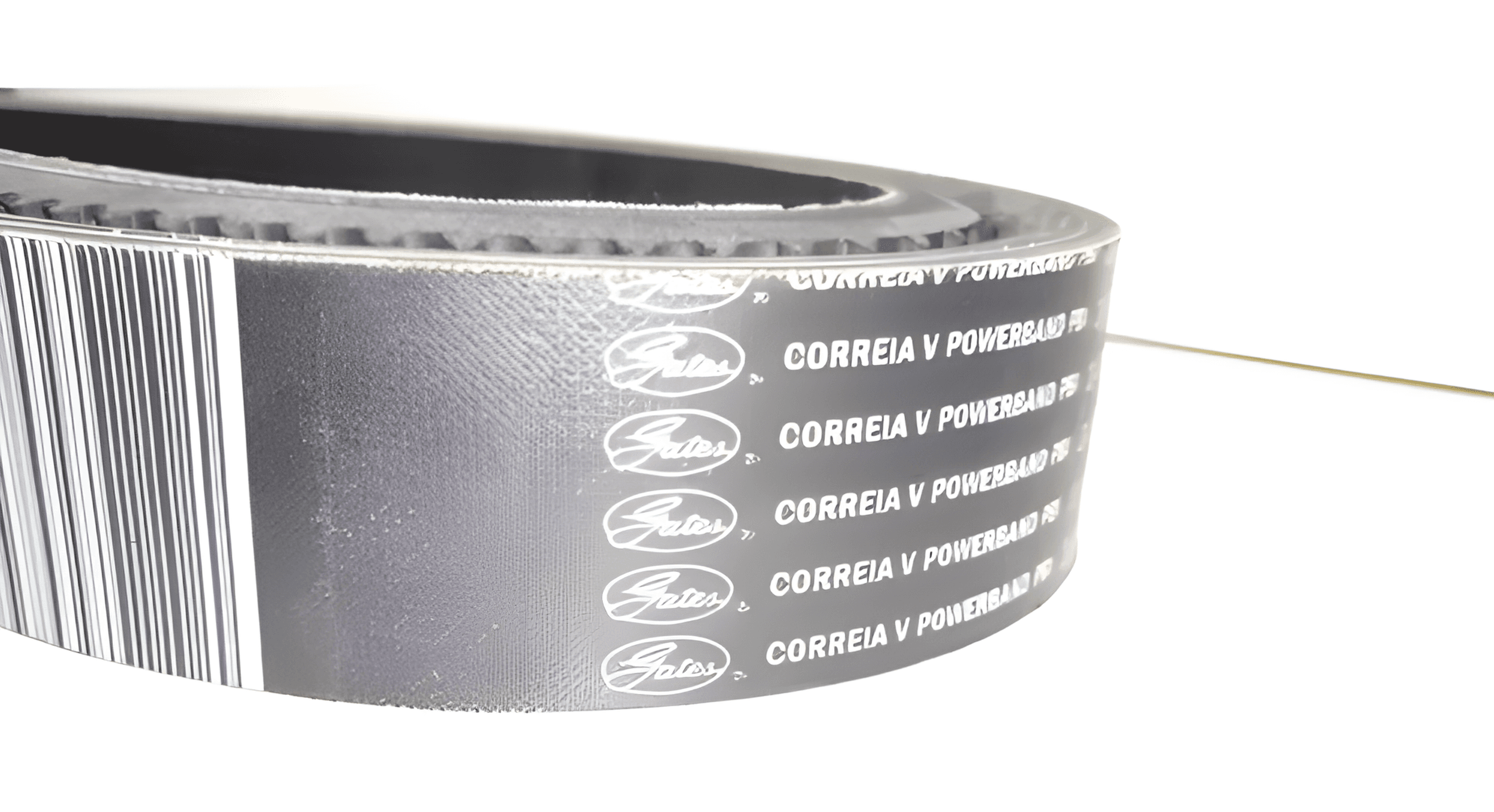 CORREIA EM V DUPLA - 2BXS53AC