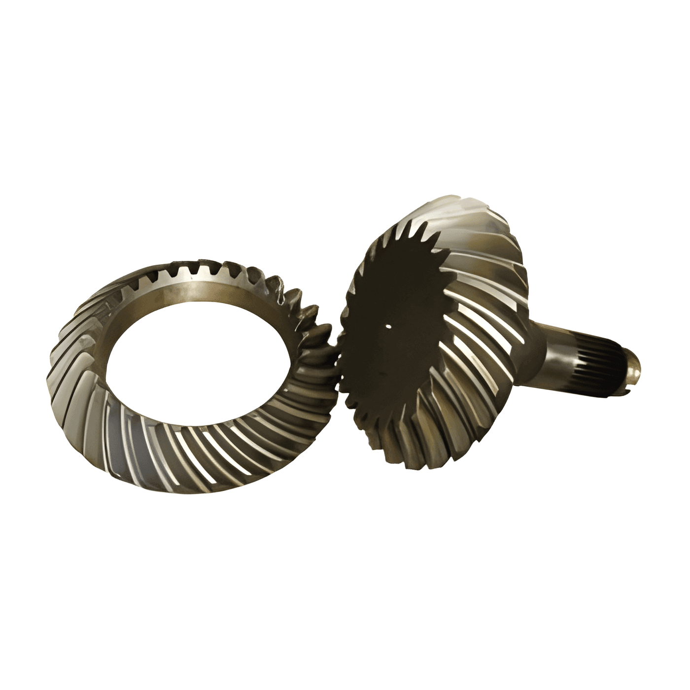 COROA E PINHAO 25X19 MS610 - 1524941