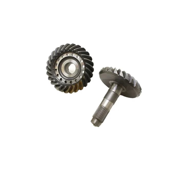 COROA E PINHAO 26X24 - 3463504439