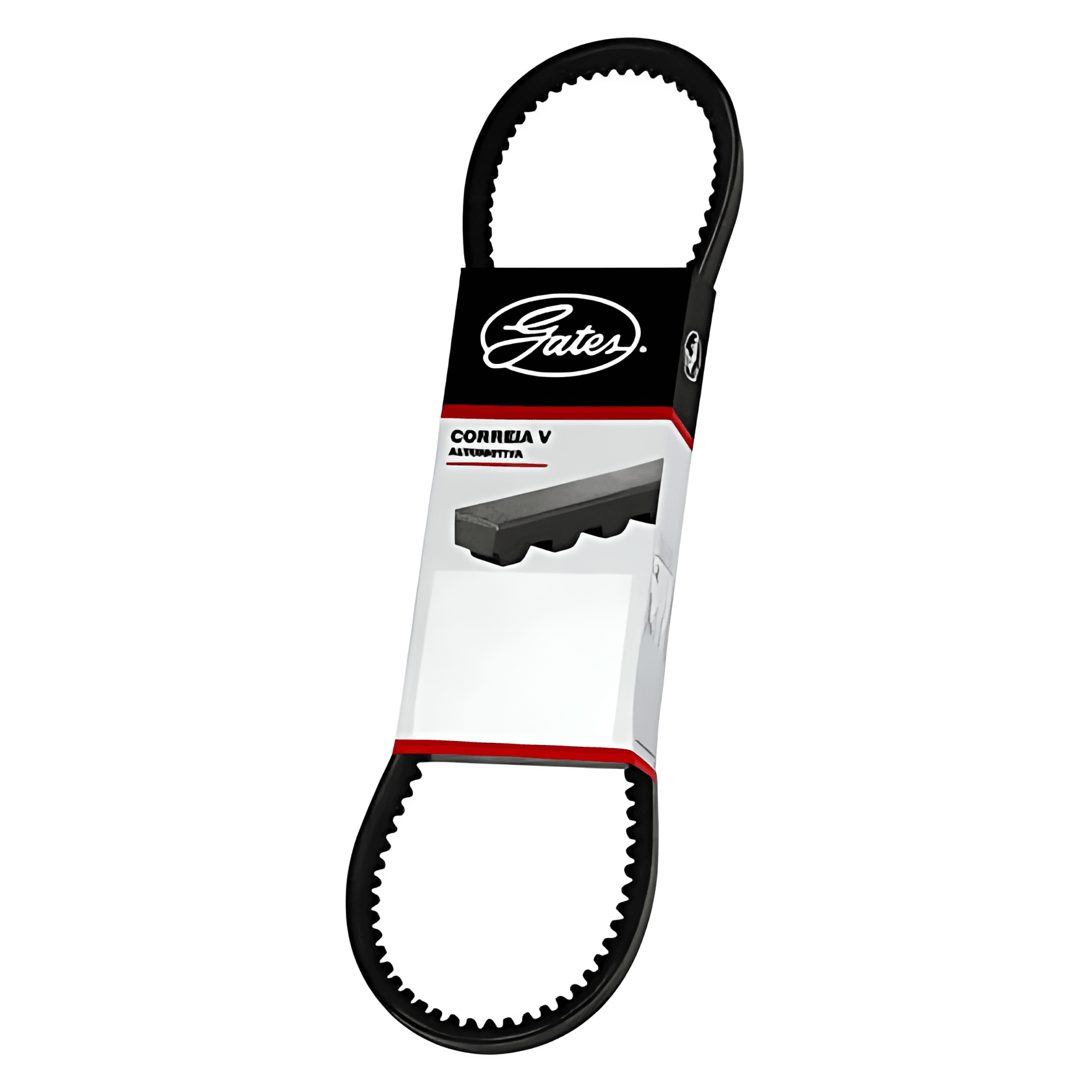 CORREIA MOTOR - 0039970292