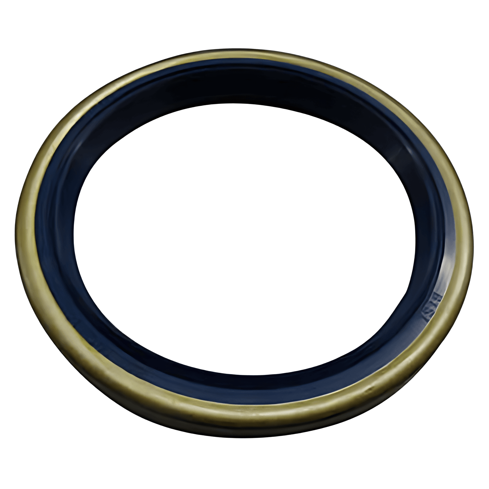 RETENTOR PINHAO DIFERENCIAL LADO EXTERNO - 0079979946