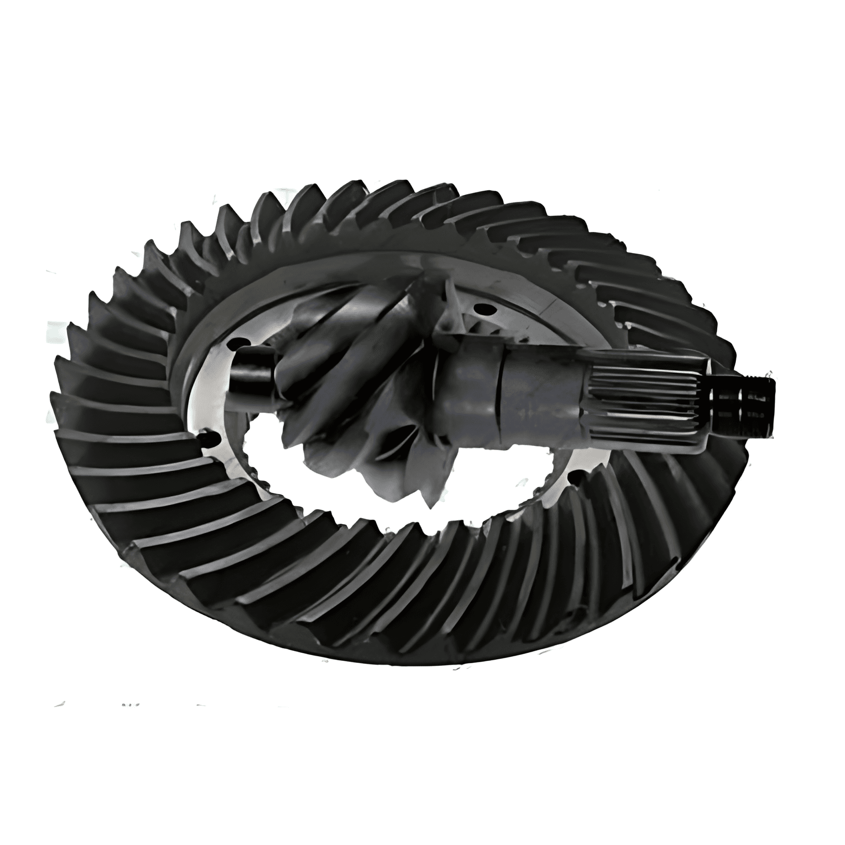 COROA PINHAO 8X42 HL4 - 300015624