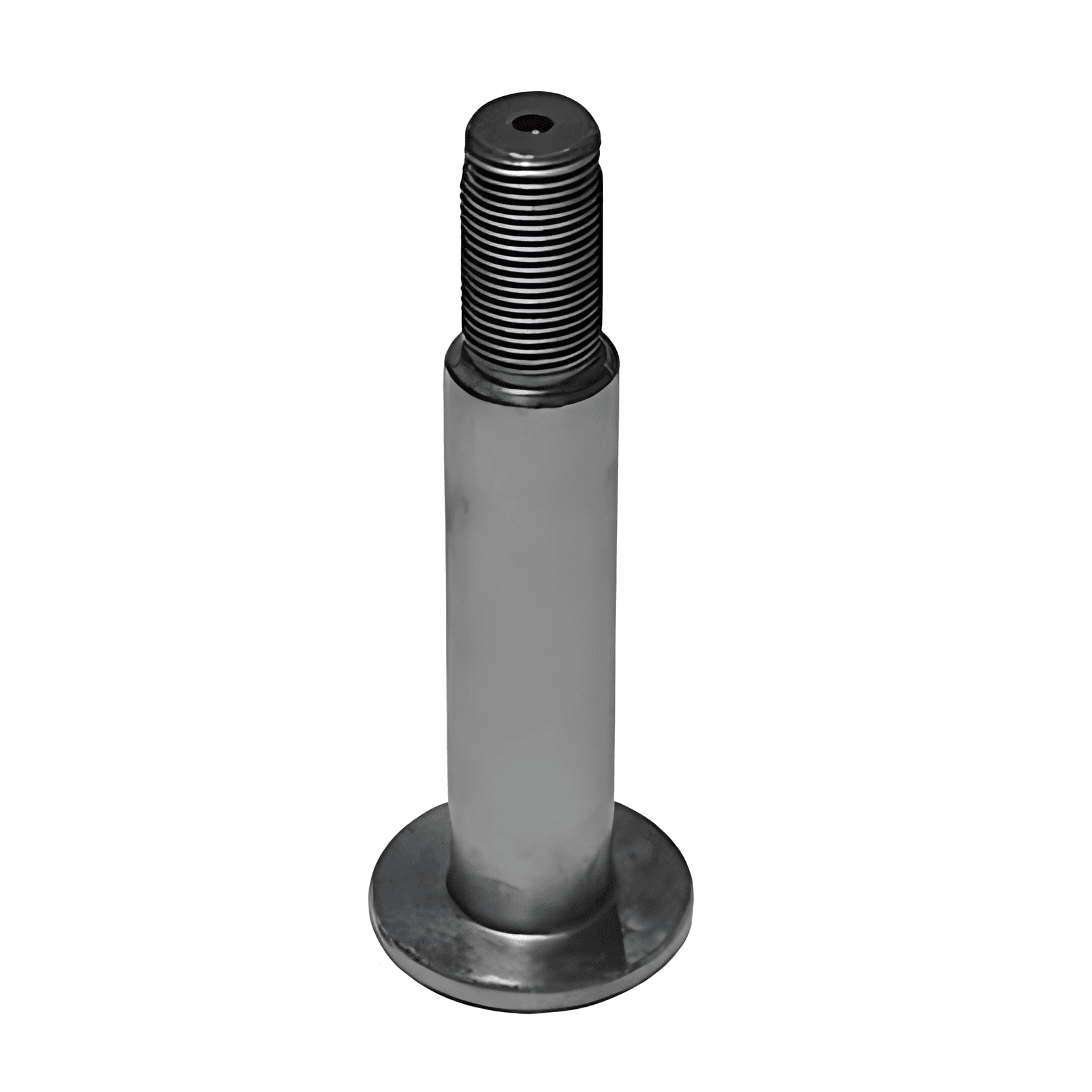 PINO TENSOR RANDON ESTAMPADO - 301008442