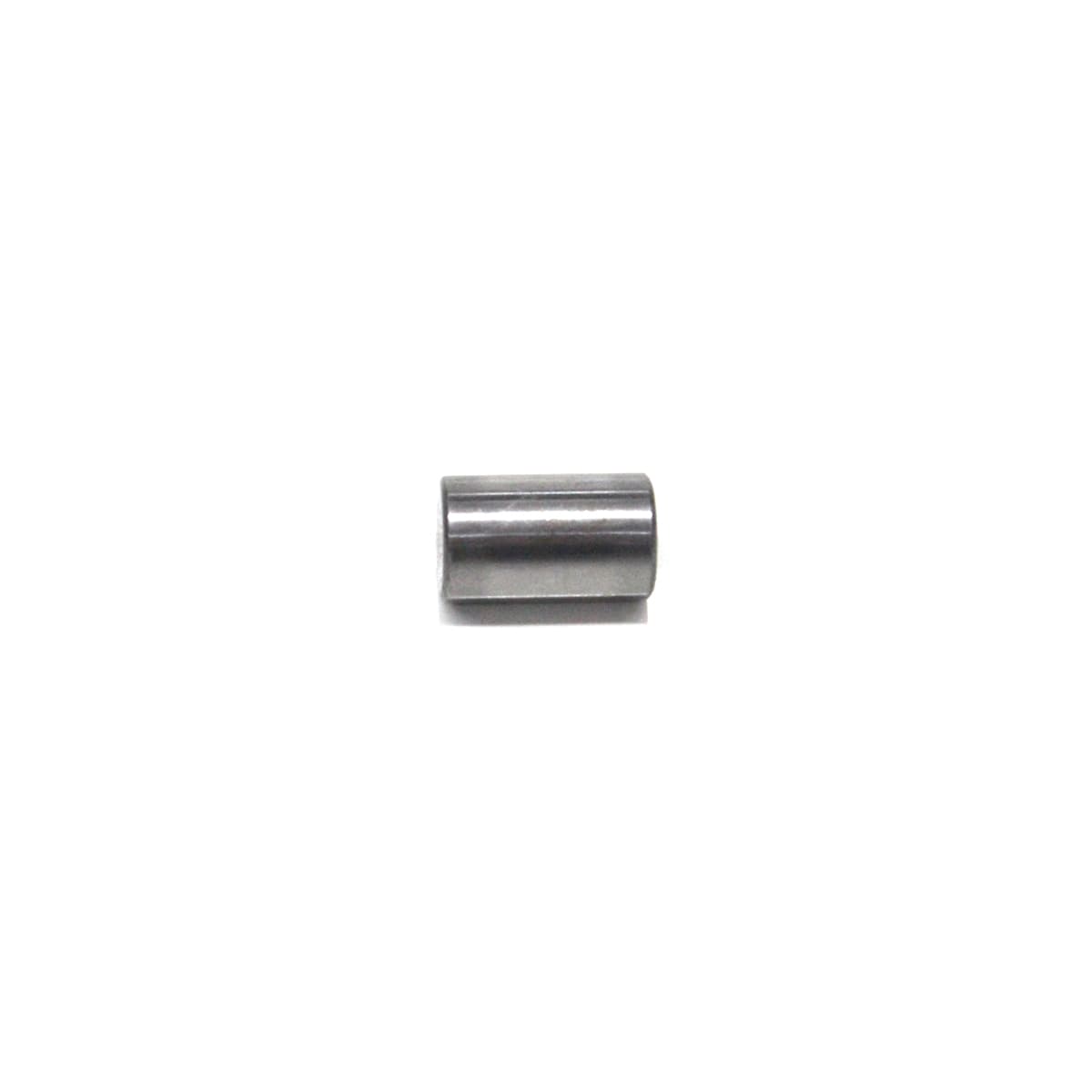 ROLETE 10X16,90MM ENGRENAGEM SATELITE PLANETARIO MB/VW/VOLVO CAMBIO ZF 16S - 0750119143