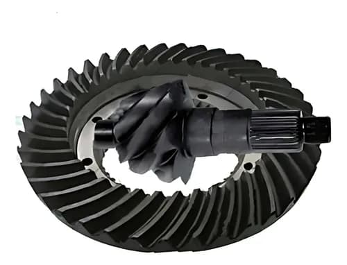 COROA E PINHAO 7X43 - 3023502039