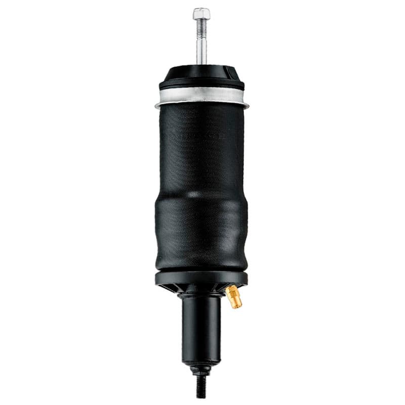 MOLA PNEUMATICA 1T17BN-4 5 - 10025132