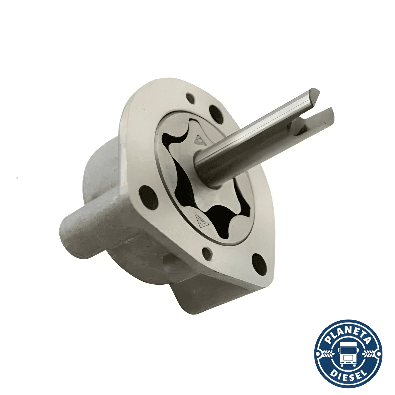 BOMBA OLEO MOTOR ZF VM 220/270/310/330 - 1526685