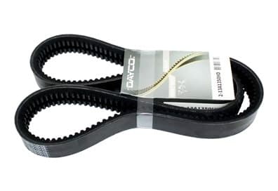 CORREIA V GIR/ALT/BA E BA/DH (GEMEAS) - 3829970392