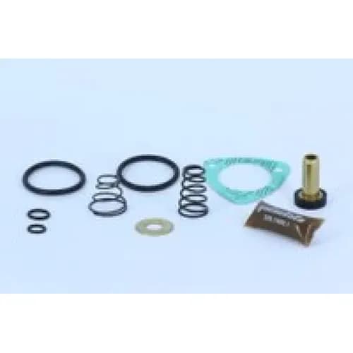 JG REPARO VALVULA 2 VIAS - 4342080190