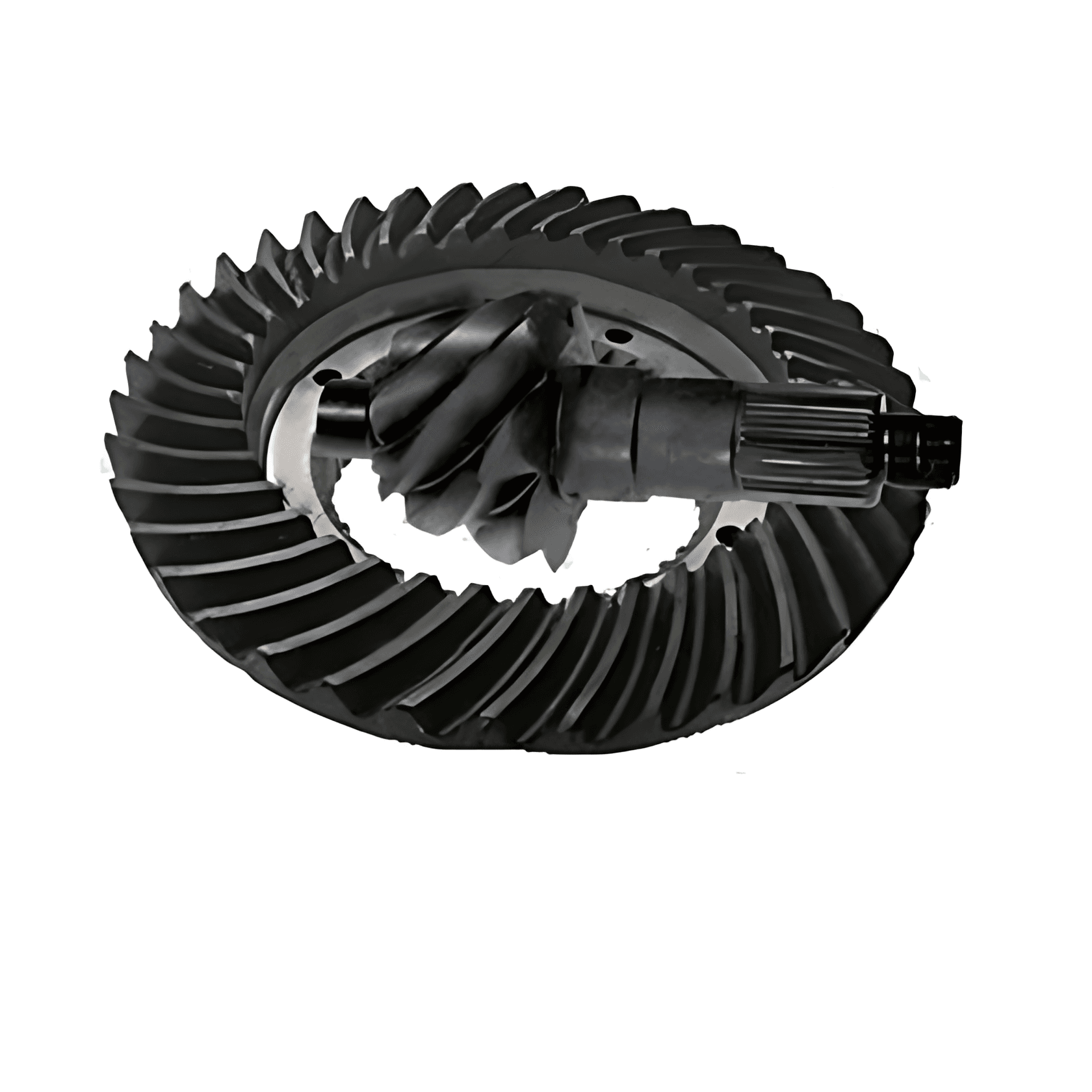 COROA E PINHAO - 8X39 - 3023502339
