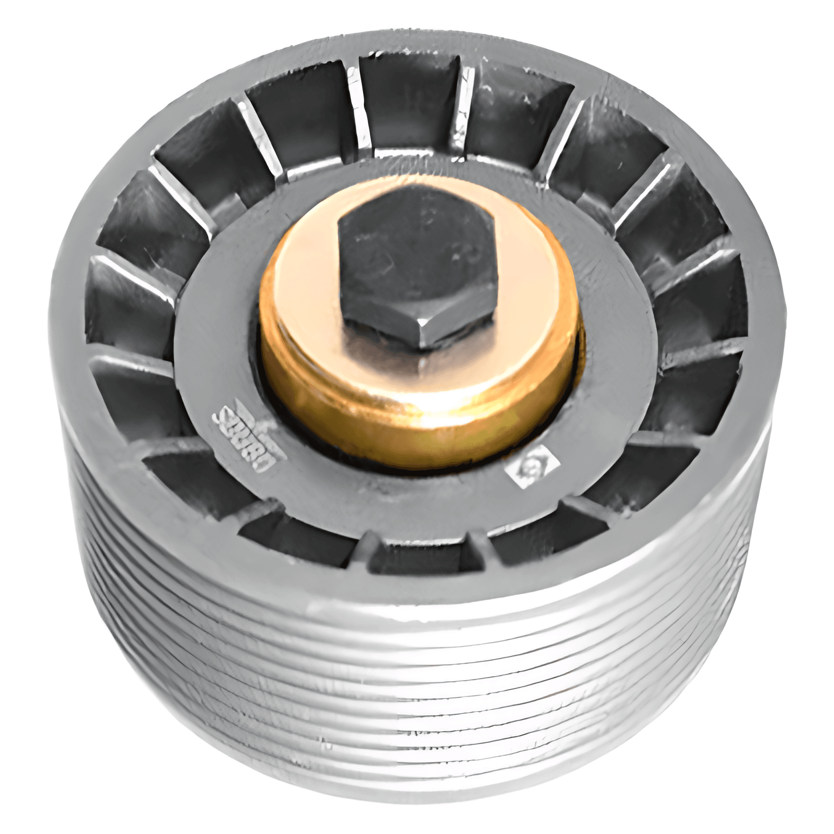 POLIA TENSOR CORREIA - 2Z0903165D