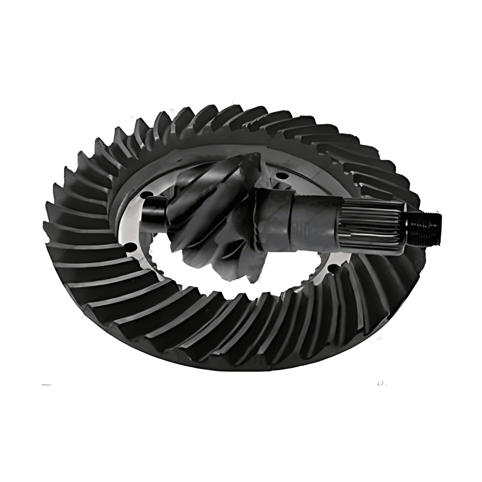 COROA E PINHAO 10X41 - 3453500039