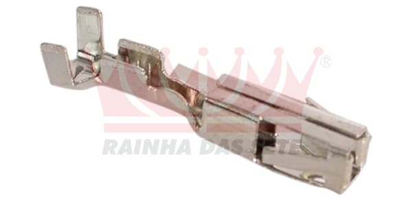 TERMINAL ESPECIAL FEMEA - ETE8011