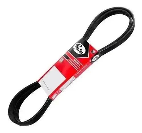 CORREIA POLY V - 10PK1490