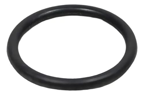 ANEL VEDACAO CARCACA BOMBA OLEO ( 19X3 ) - GW0600