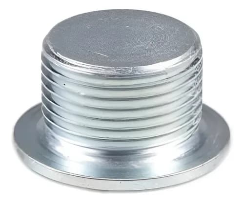 BUJAO CARTER MOTOR - 4895577