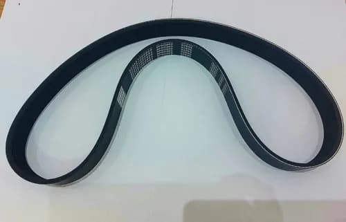 CORREIA POLY V 8PK - 903451000965E