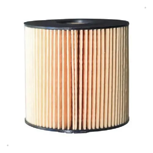 FILTRO DE OLEO (ENERGETICO) - 8200004835