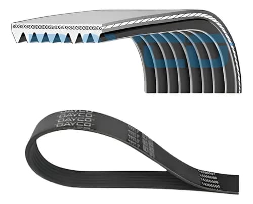 CORREIA MULTI V - 8PK1205HD