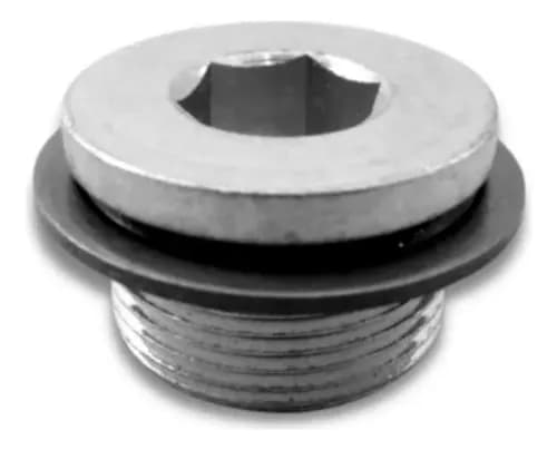 BUJAO CABECOTE MOTOR - 504113994