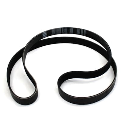 CORREIA POLY V INTERNACIONAL 4900 - 8PK1840HD