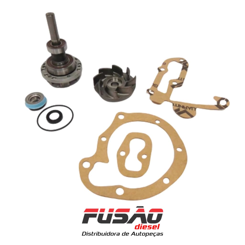 REPARO DA BOMBA DAGUA - 3522000560