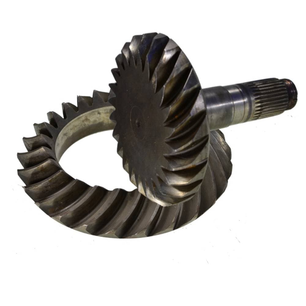COROA E PINHAO 24X26 - 56170312