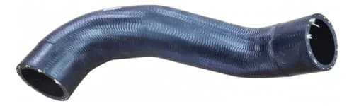 MANGUEIRA RADIADOR ACCELO 815/915/915C/1016/1316 - 9795015682