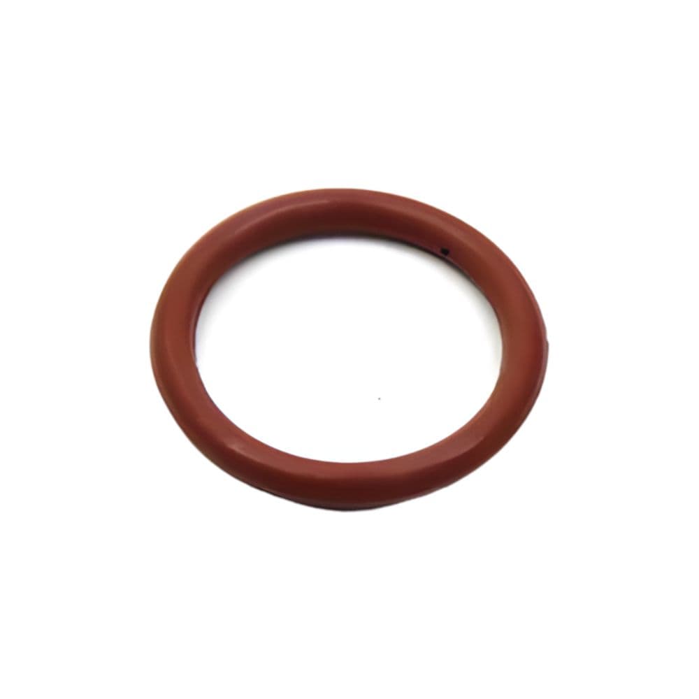 ANEL ORING PORTA INJETOR - GW1006