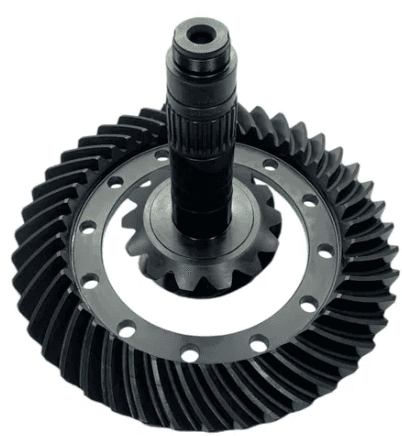 COROA E PINHAO 14X43 - 2024181