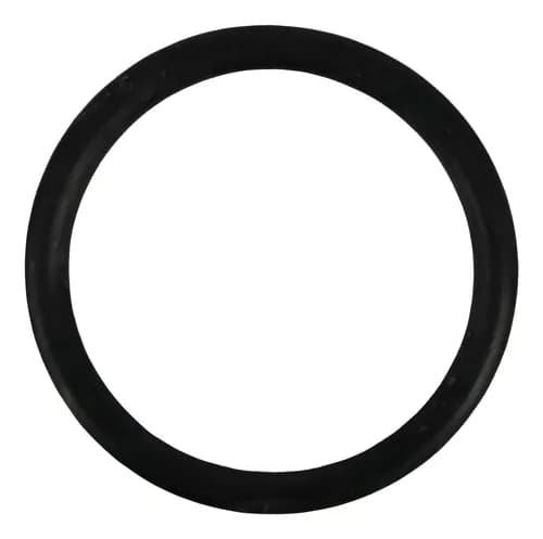 ANEL ORING - 604931000344E