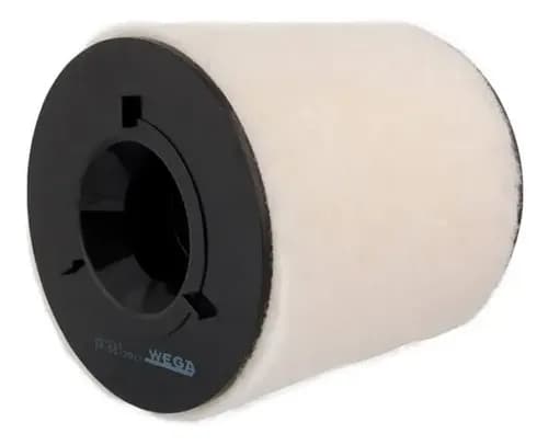 FILTRO AR - CA10822