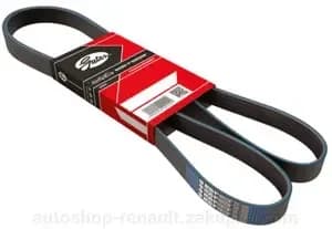 CORREIA (10PK1490) - 10PK1490