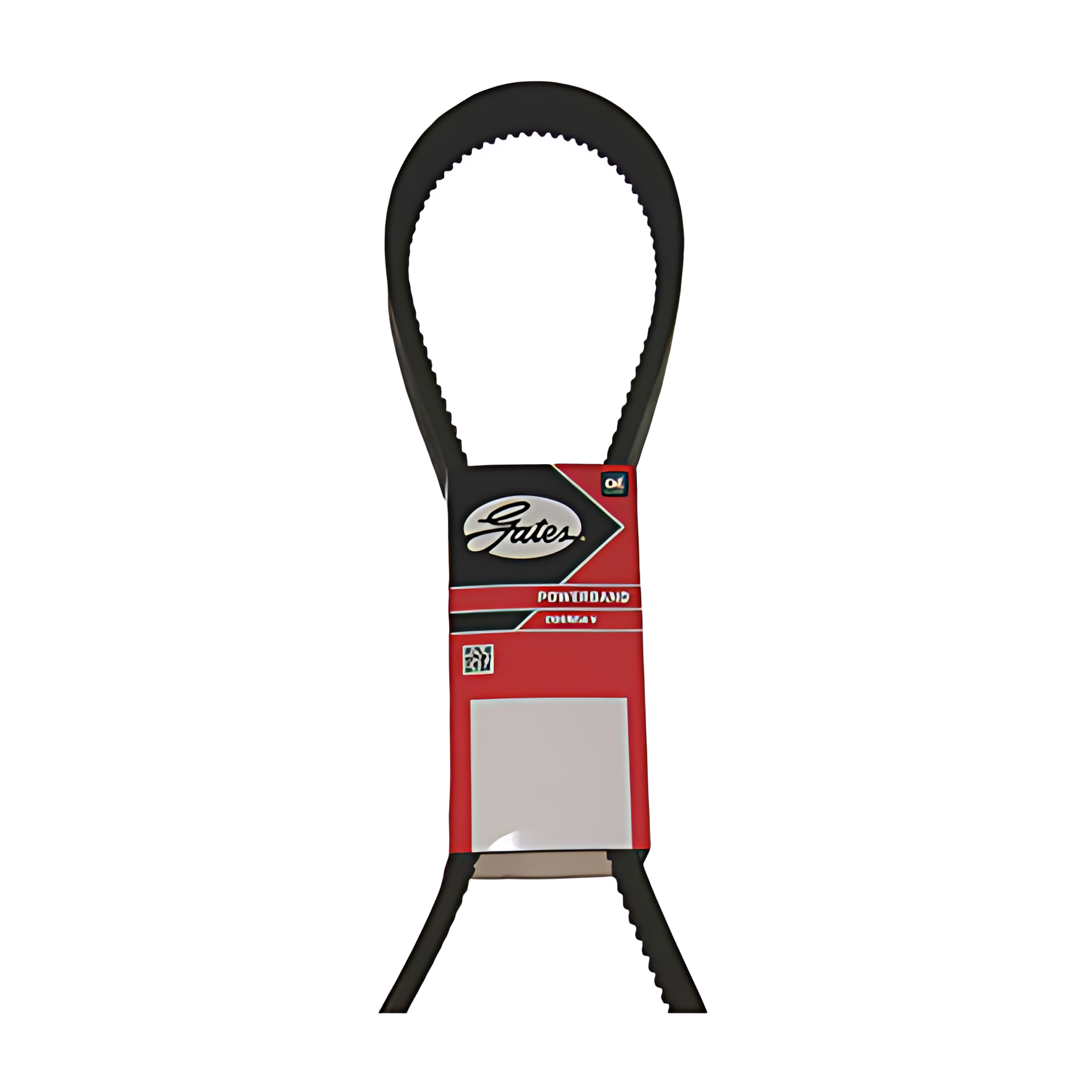 CORREIA V - 0019970392