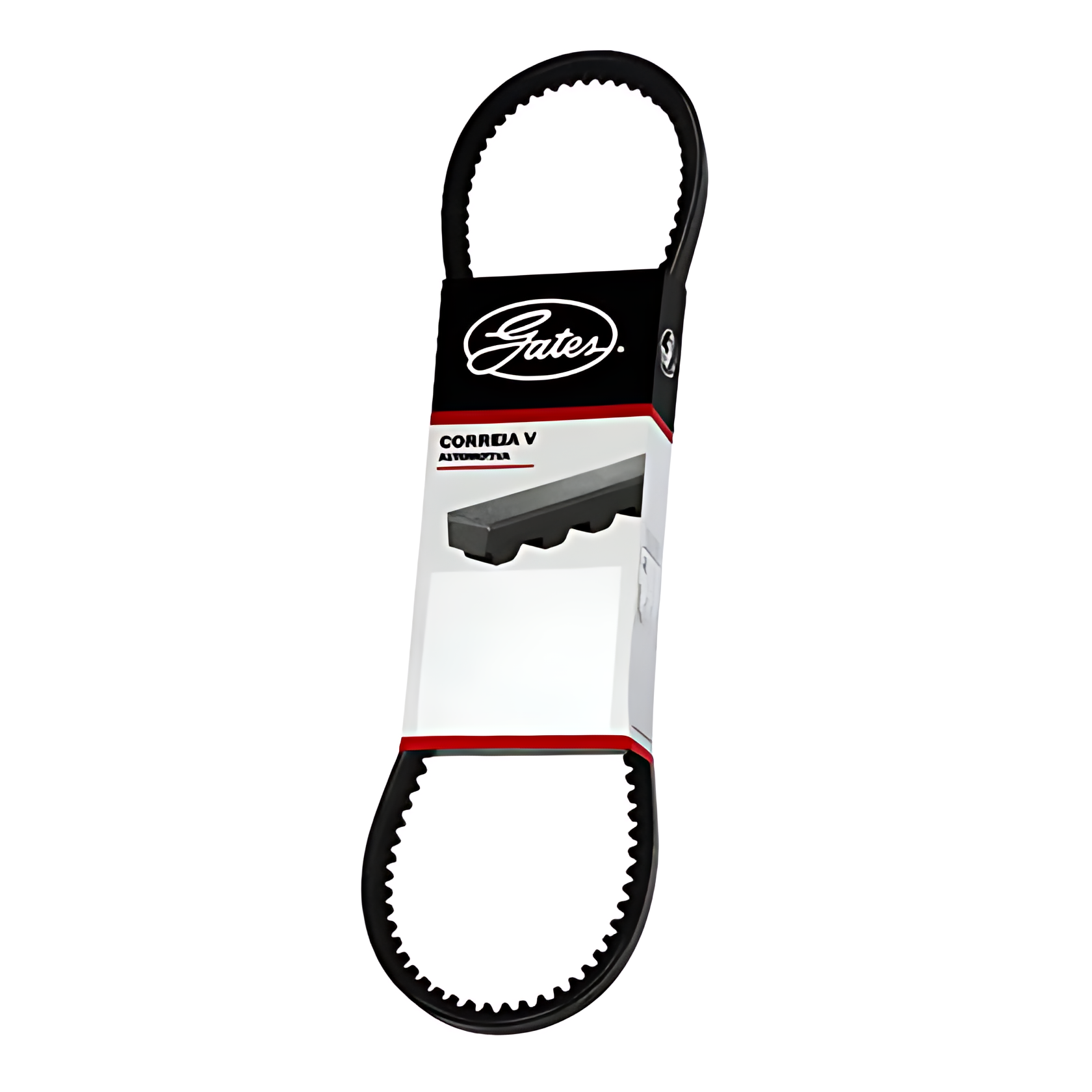 CORREIA MOTOR DUPLA - 0039970592