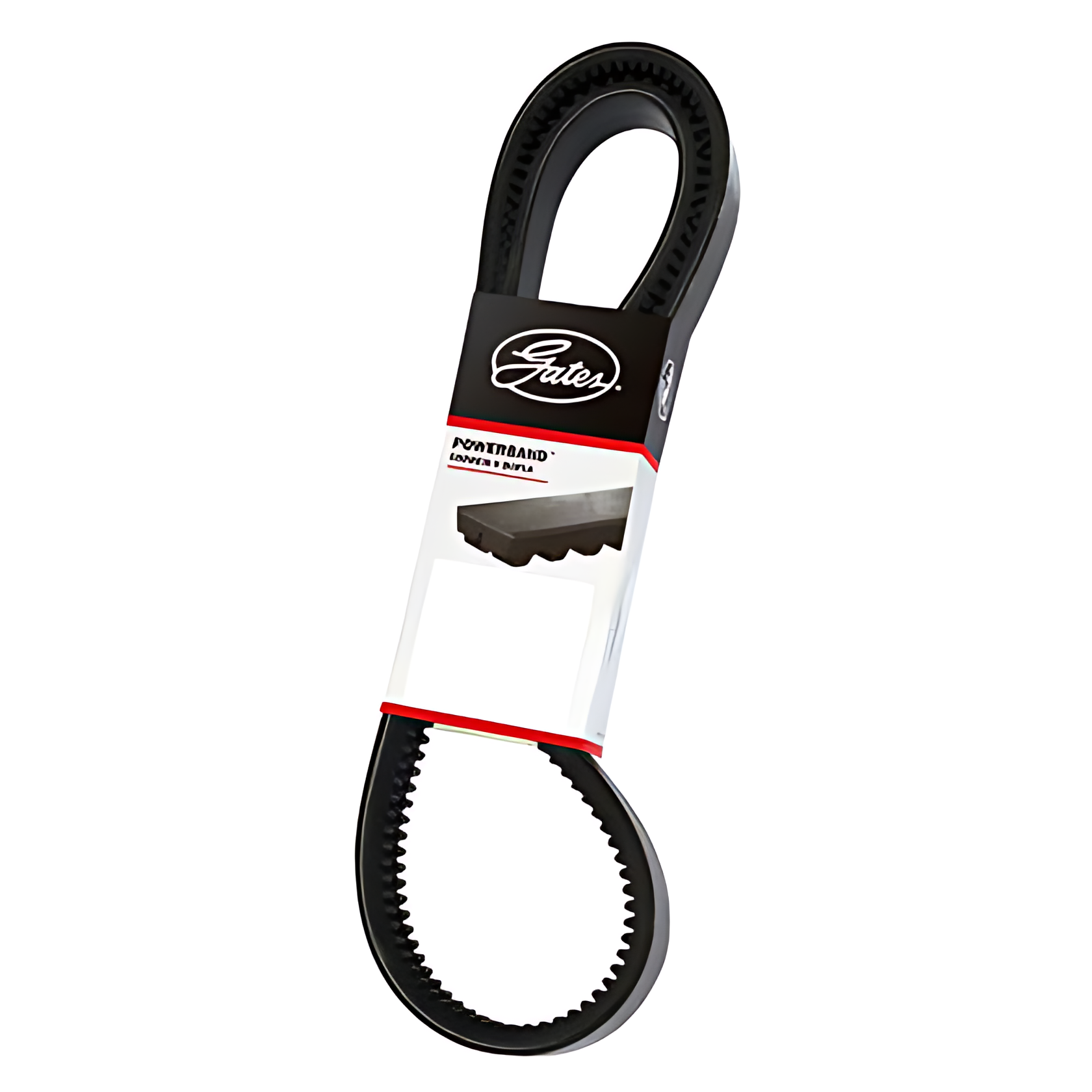 CORREIA MOTOR DUPLA - 0039975692