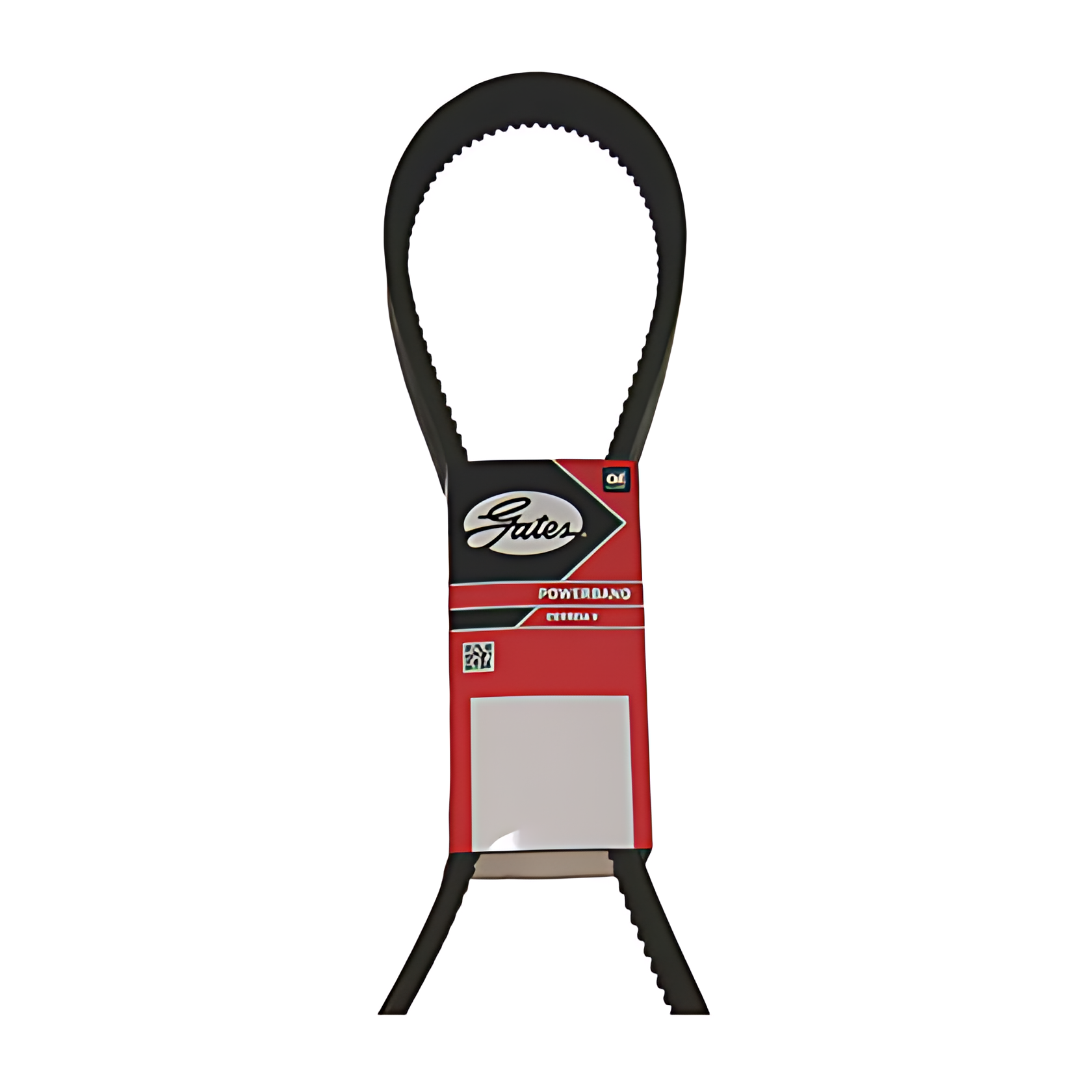 CORREIA MOTOR - 0039975792