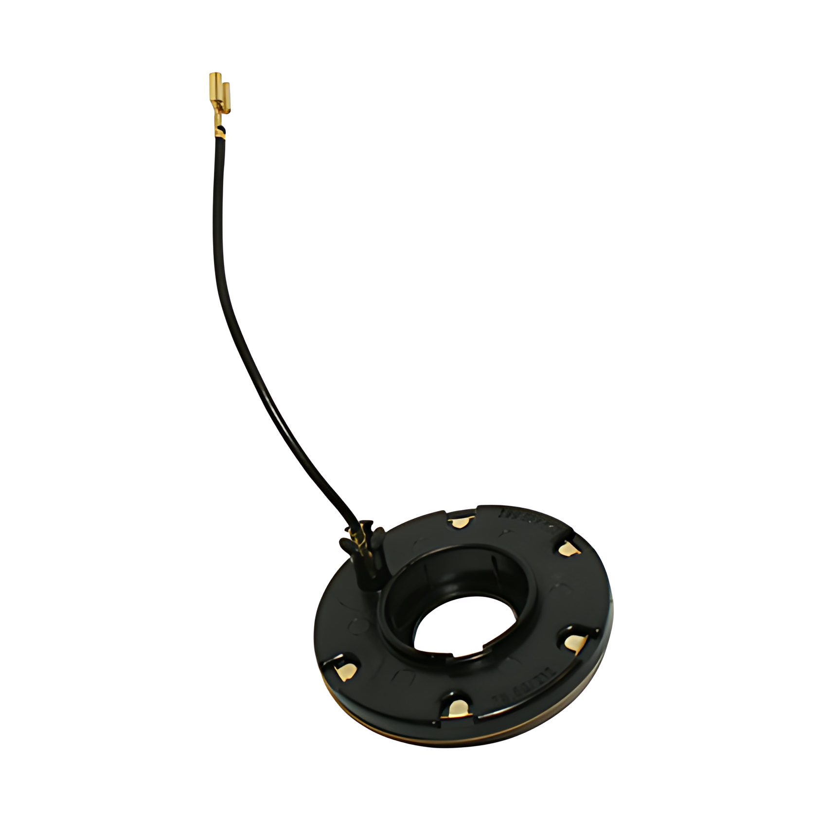 CAME DA BUZINA ( ORIGINAL ) - 251419661