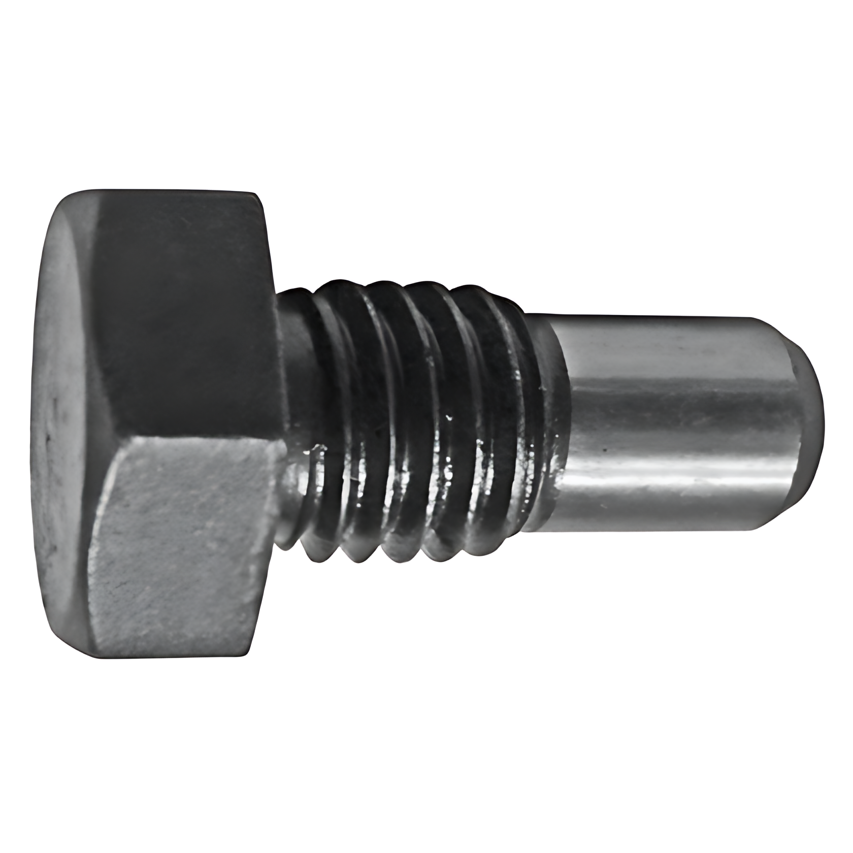 PINO ROSCADO - 2S4301187