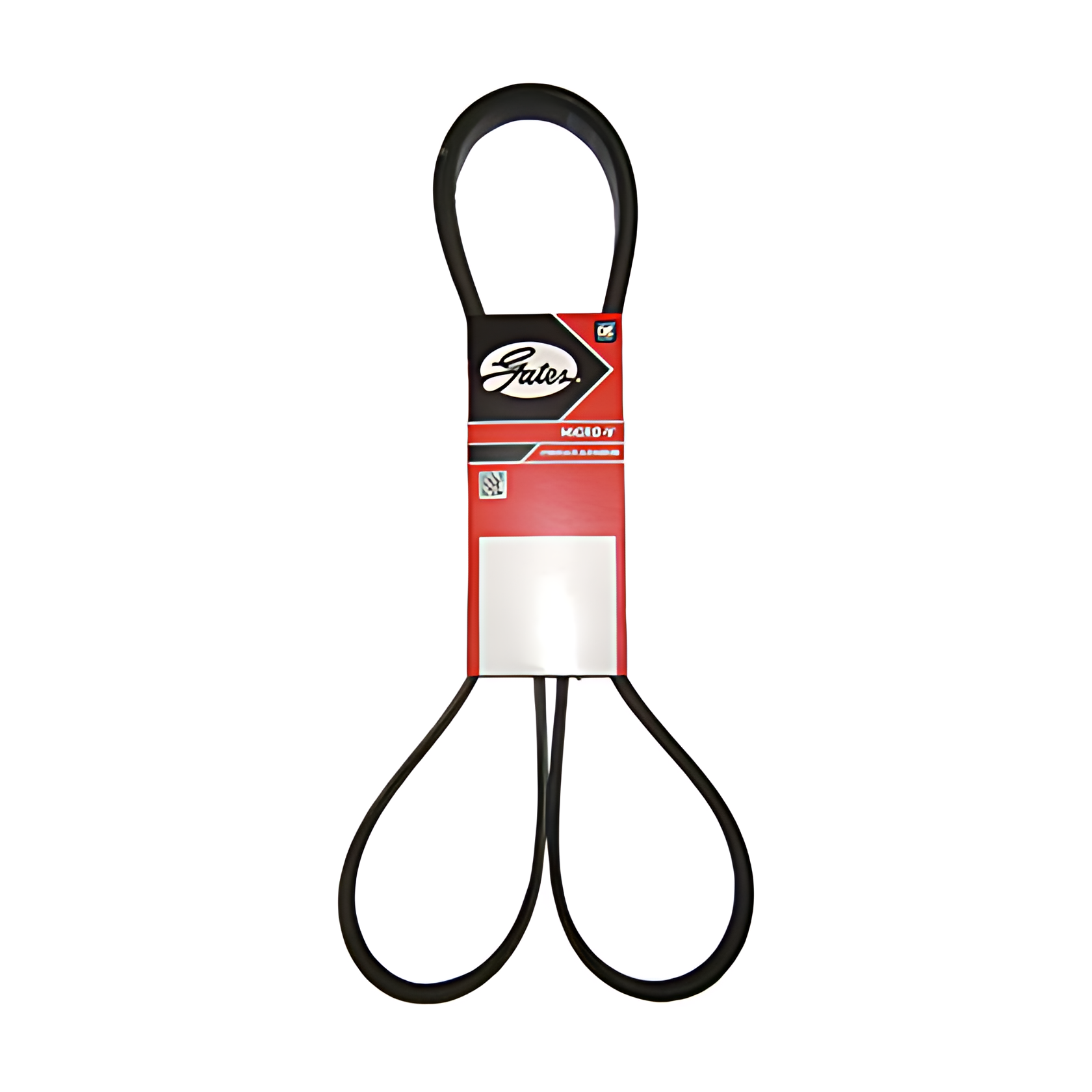 CORREIA MICRO V - 2P0145933