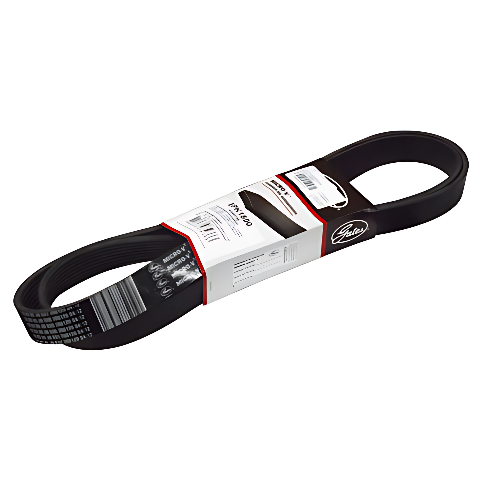 CORREIA MOTOR (8PK1800) - 2R0145933A