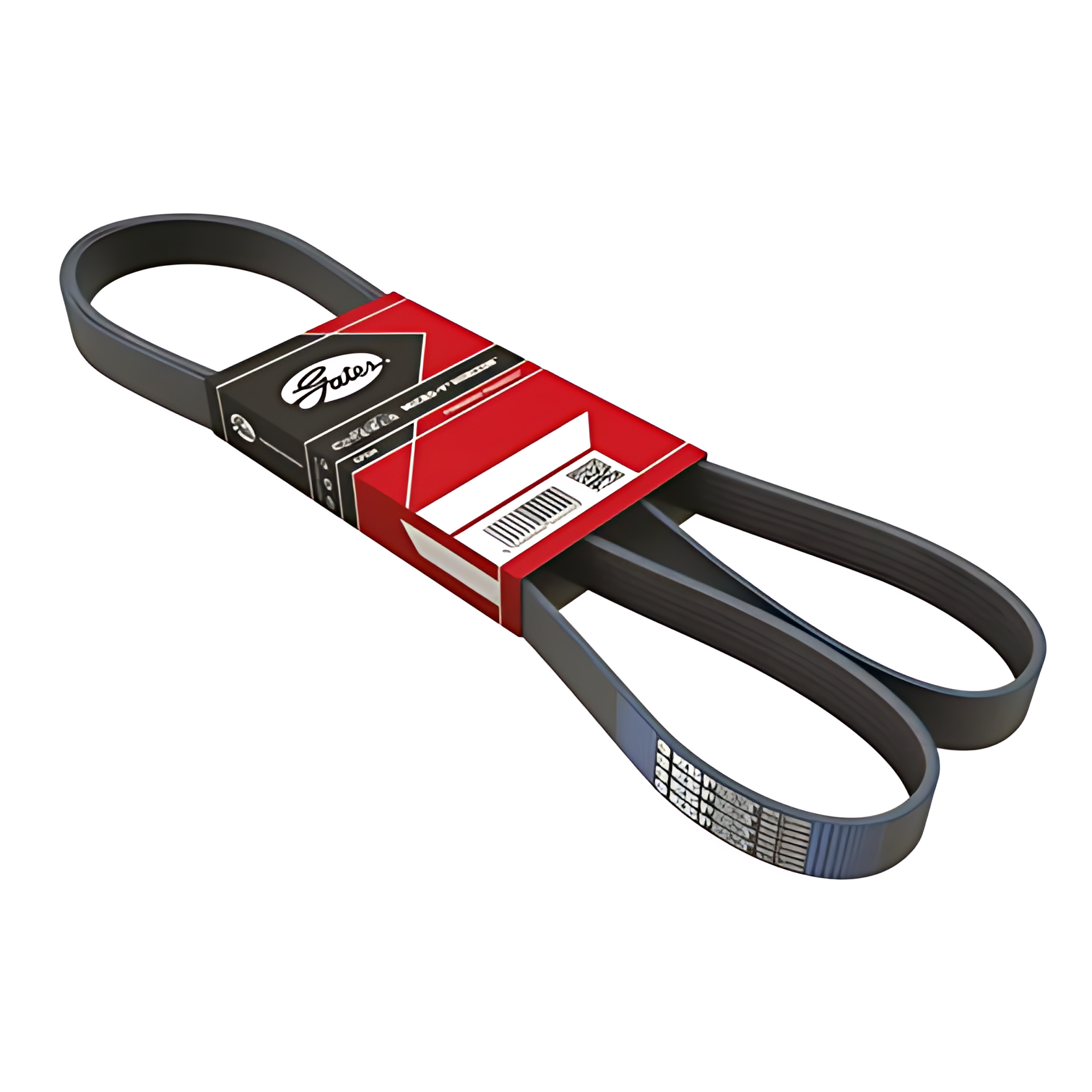 CORREIA MICRO V - 2W0903137