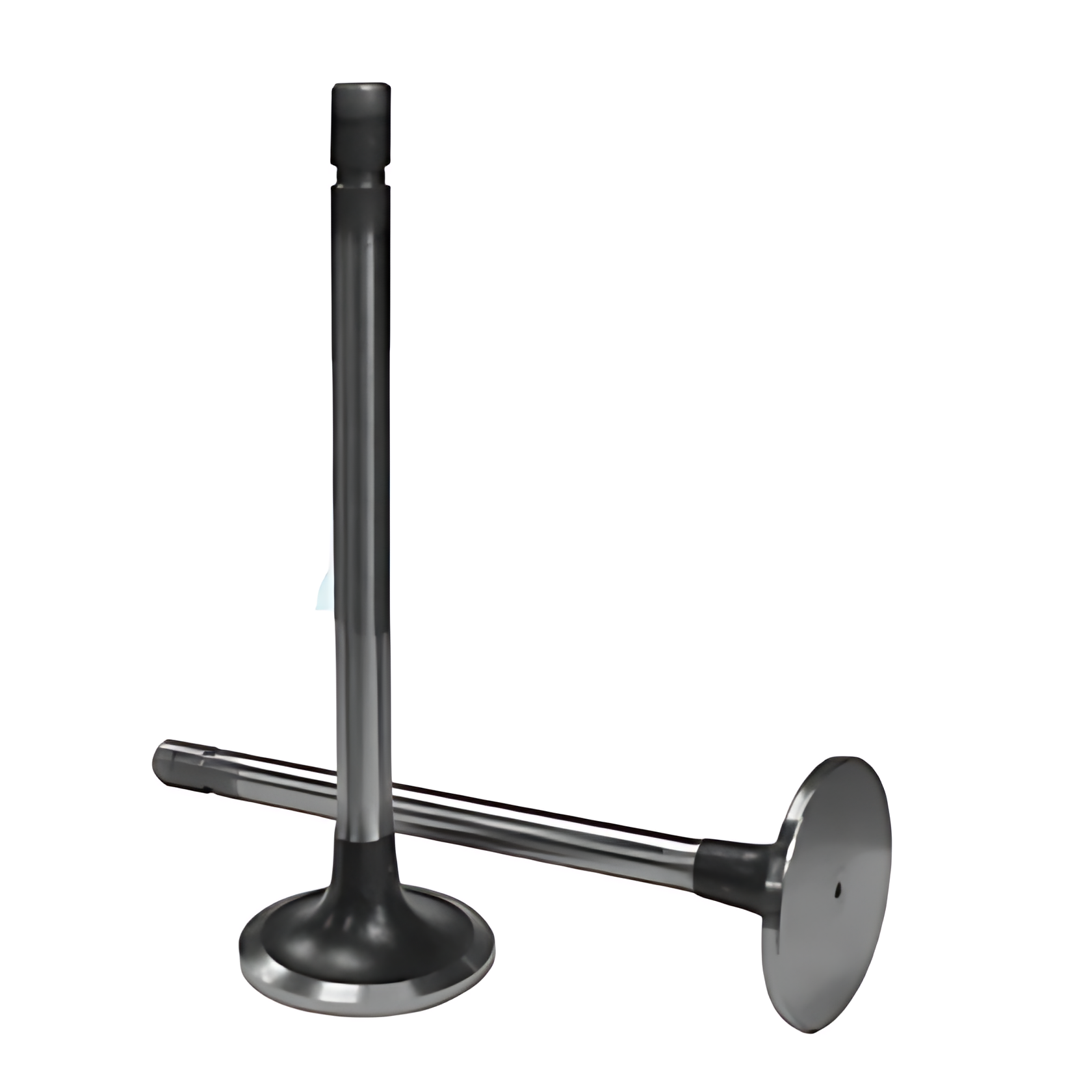 VALVULA ADMISSAO OM366LA 20GRAUS - 50017794