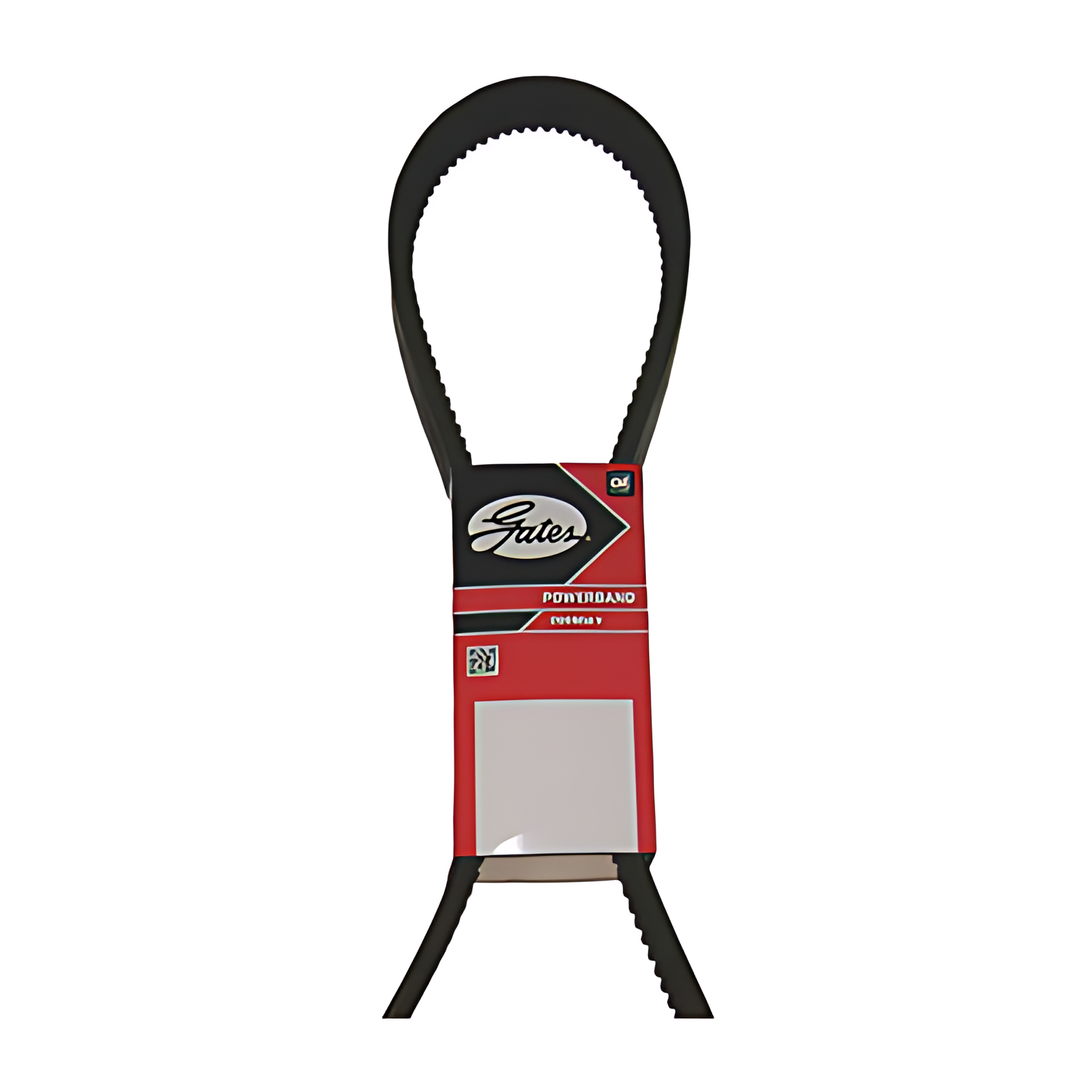 CORREIA V DUPLA - 3769970192