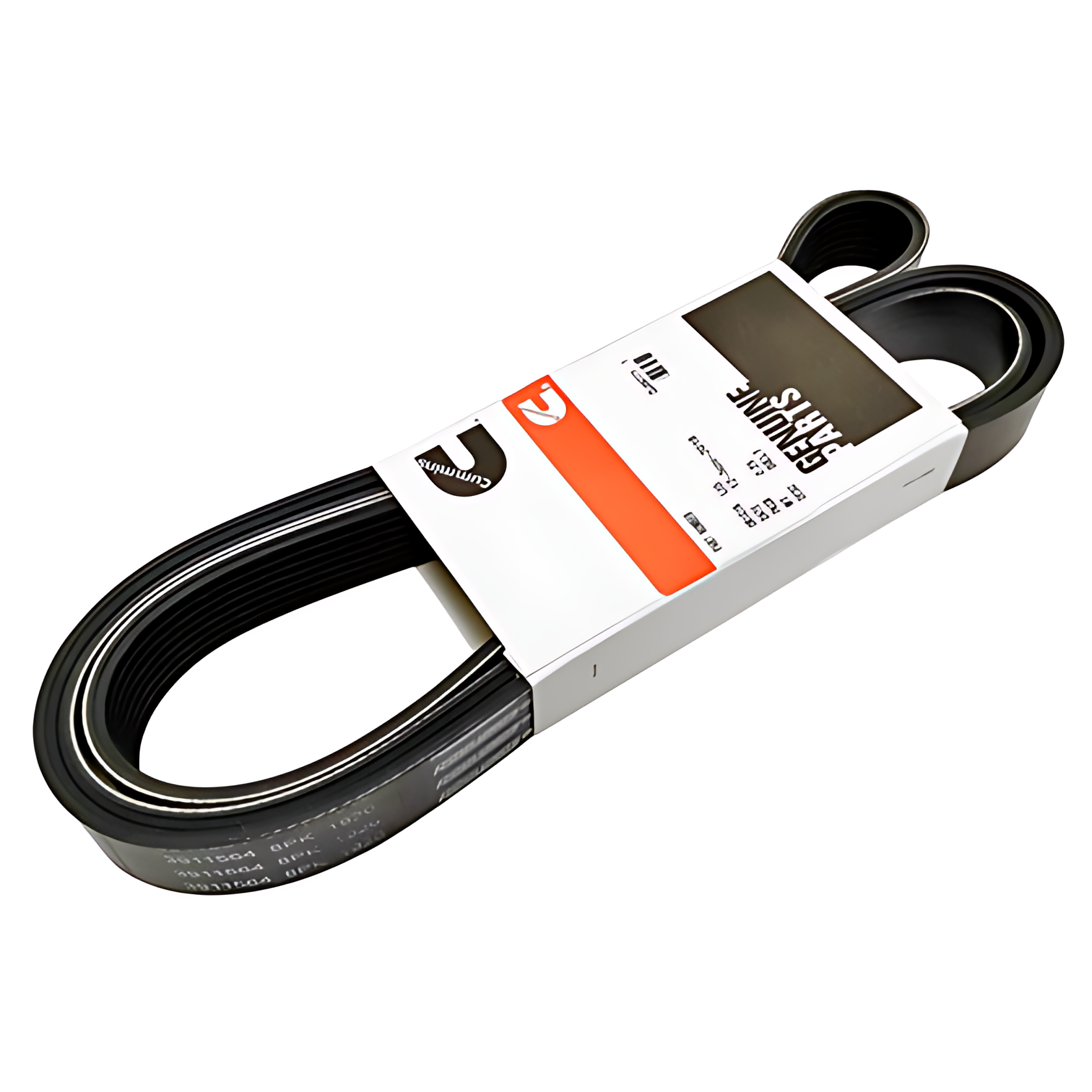 CORREIA NERVURADA POLIA V MOTOR CUMMINS - 3911564