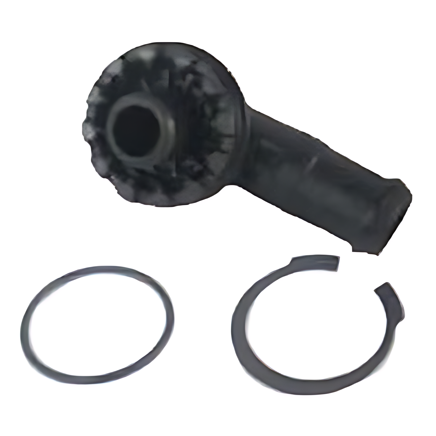 TAMPA - 6007005130009