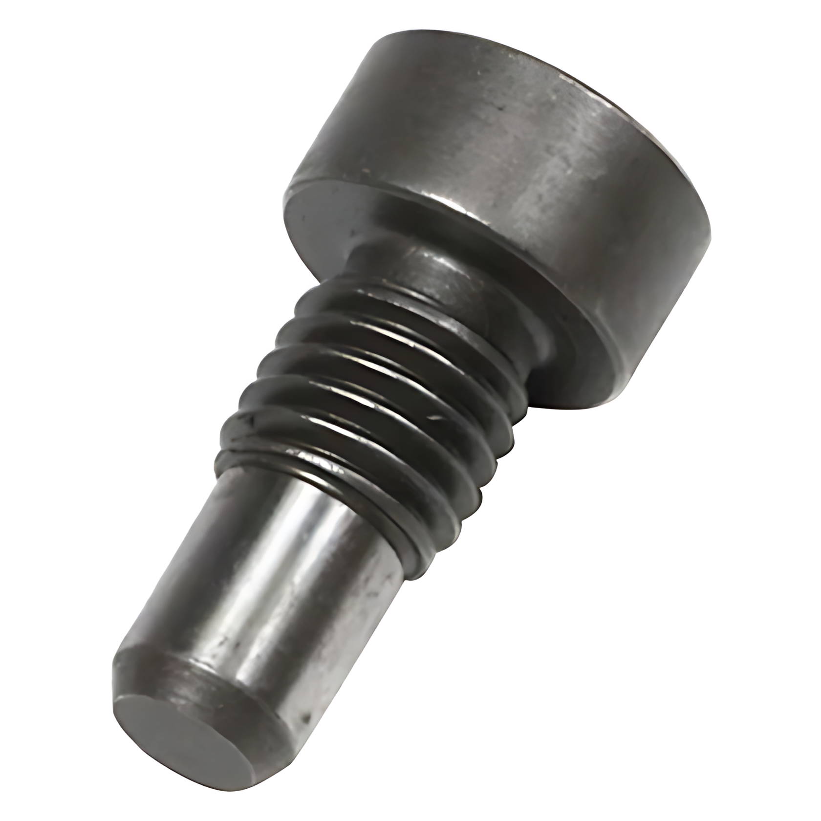 PINO ROSCADO - 24261880