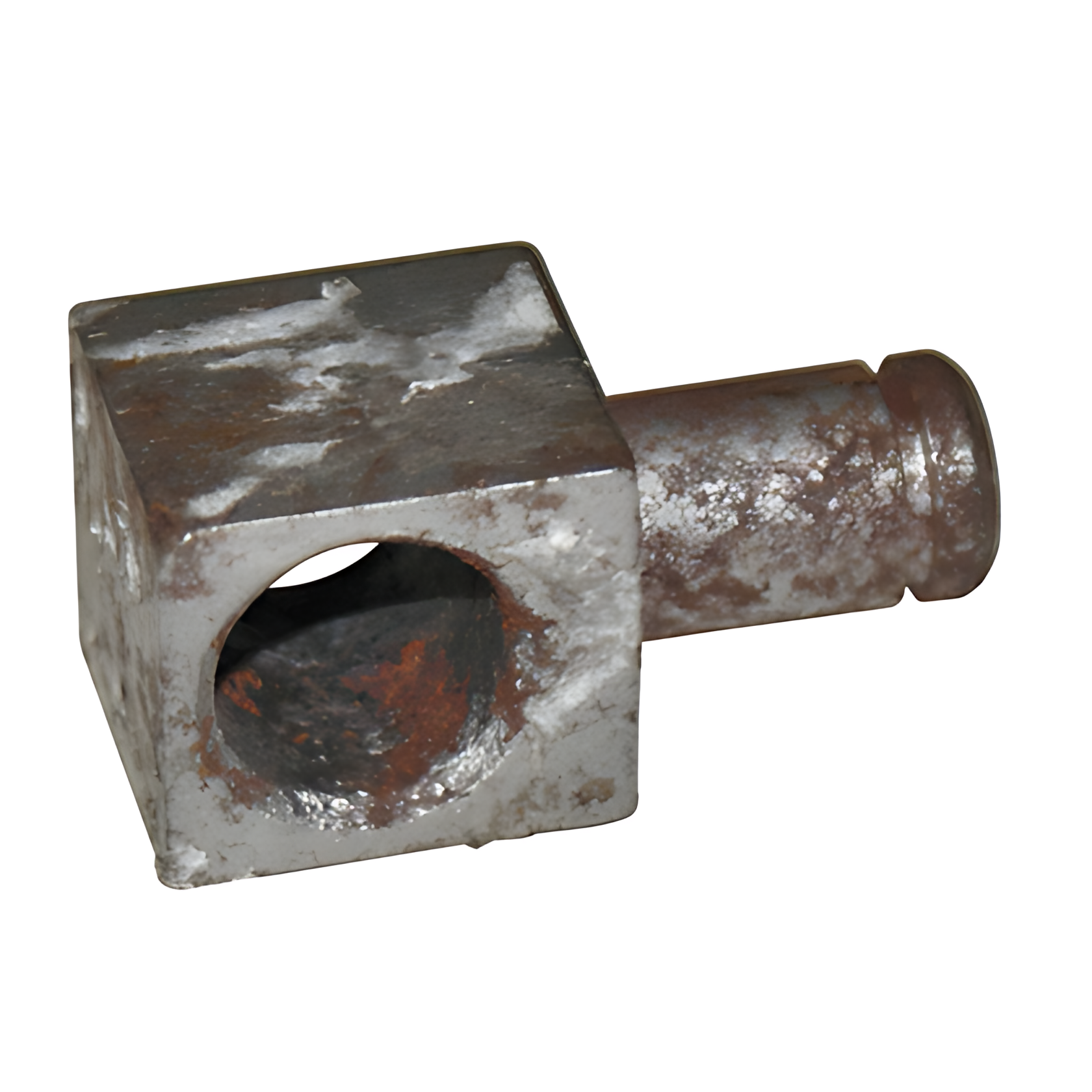 PINO ESPECIAL - 6012004046008