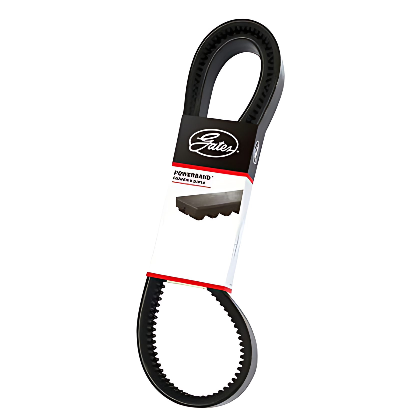 CORREIA CUT EDEG - 903460211250